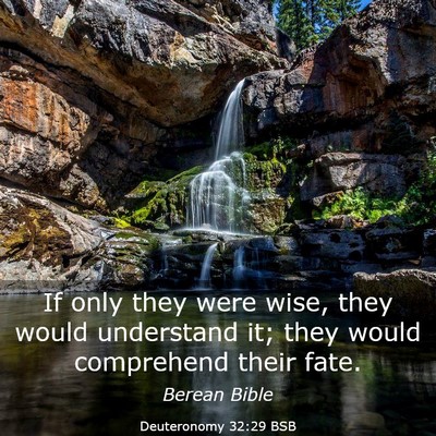 Picture 03 - Deuteronomy 32:29 BSB - If only they were wise, they would understand it; - Bible Verse Picture