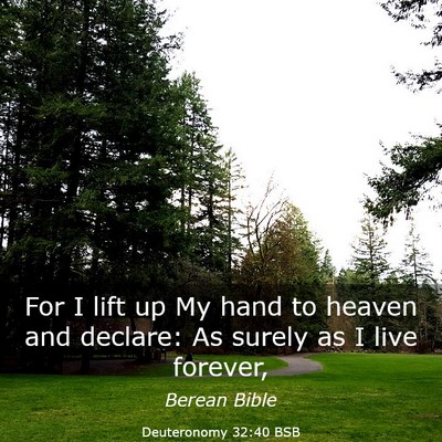 Picture 03 - Deuteronomy 32:40 BSB - For I lift up My hand to heaven and declare: As - Bible Verse Picture
