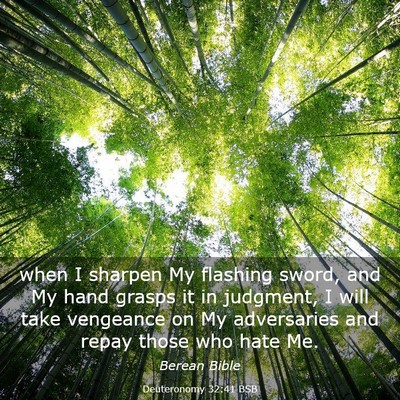 Picture 03 - Deuteronomy 32:41 BSB - when I sharpen My flashing sword, and My hand - Bible Verse Picture