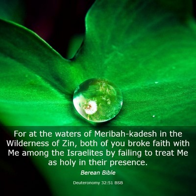 Picture 03 - Deuteronomy 32:51 BSB - For at the waters of Meribah-kadesh in the - Bible Verse Picture