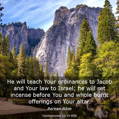 Picture 03 - Deuteronomy 33:10 BSB - He will teach Your ordinances to Jacob and Your - Bible Verse Picture