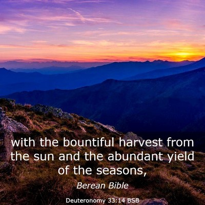 Picture 03 - Deuteronomy 33:14 BSB - with the bountiful harvest from the sun and the - Bible Verse Picture