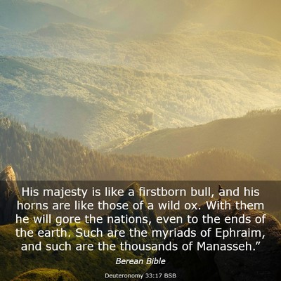 Picture 03 - Deuteronomy 33:17 BSB - His majesty is like a firstborn bull, and his - Bible Verse Picture