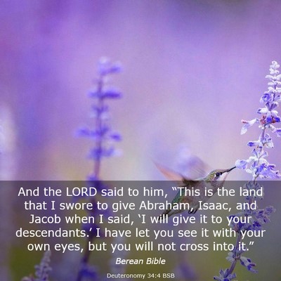 Picture 03 - Deuteronomy 34:4 BSB - And the LORD said to him, “This is the land - Bible Verse Picture