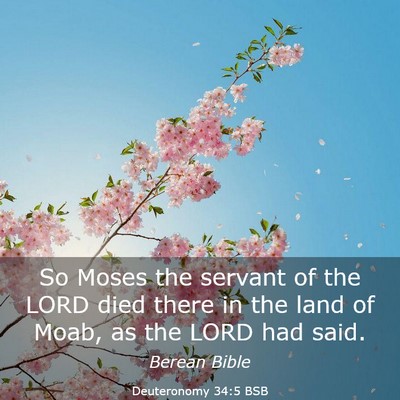 Picture 03 - Deuteronomy 34:5 BSB - So Moses the servant of the LORD died there in - Bible Verse Picture