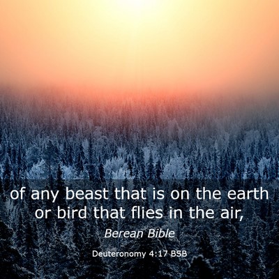 Picture 03 - Deuteronomy 4:17 BSB - of any beast that is on the earth or bird that - Bible Verse Picture