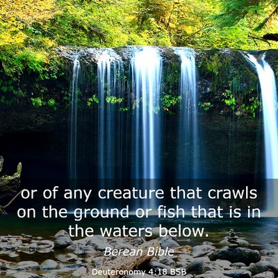 Picture 03 - Deuteronomy 4:18 BSB - or of any creature that crawls on the ground or - Bible Verse Picture