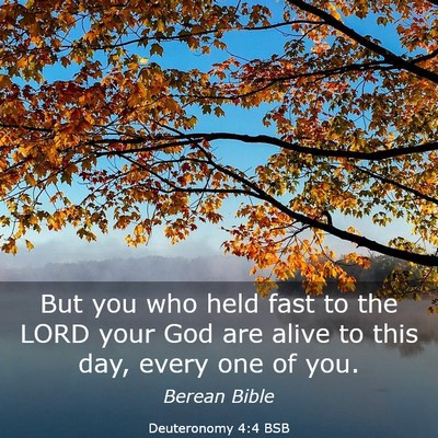 Picture 03 - Deuteronomy 4:4 BSB - But you who held fast to the LORD your God are - Bible Verse Picture