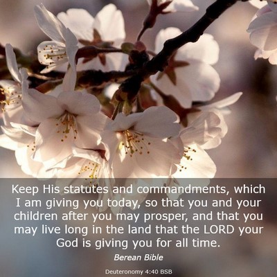Picture 03 - Deuteronomy 4:40 BSB - Keep His statutes and commandments, which I am - Bible Verse Picture