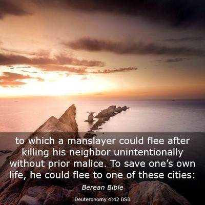 Picture 03 - Deuteronomy 4:42 BSB - to which a manslayer could flee after killing his - Bible Verse Picture