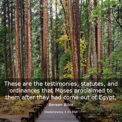 Picture 03 - Deuteronomy 4:45 BSB - These are the testimonies, statutes, and - Bible Verse Picture
