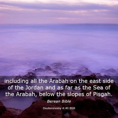 Picture 03 - Deuteronomy 4:49 BSB - including all the Arabah on the east side of the - Bible Verse Picture