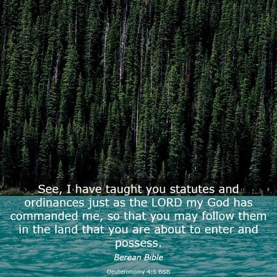 Picture 03 - Deuteronomy 4:5 BSB - See, I have taught you statutes and ordinances - Bible Verse Picture