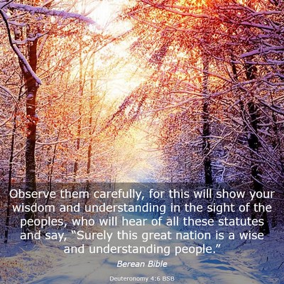 Picture 03 - Deuteronomy 4:6 BSB - Observe them carefully, for this will show your - Bible Verse Picture