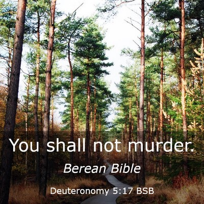 Picture 03 - Deuteronomy 5:17 BSB - You shall not - Bible Verse Picture