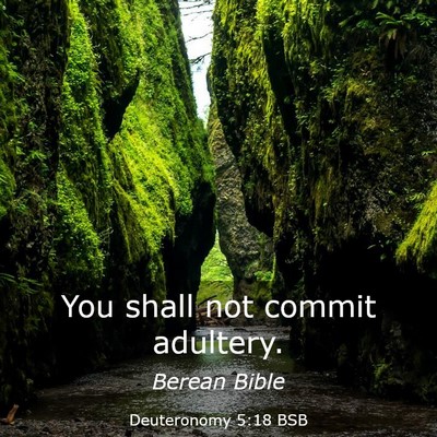 Picture 03 - Deuteronomy 5:18 BSB - You shall not commit - Bible Verse Picture