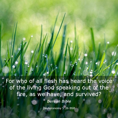 Picture 03 - Deuteronomy 5:26 BSB - For who of all flesh has heard the voice of the - Bible Verse Picture
