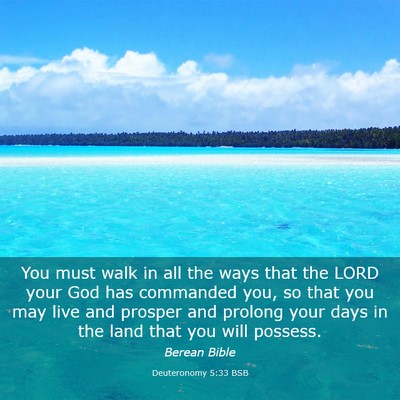 Picture 03 - Deuteronomy 5:33 BSB - You must walk in all the ways that the LORD your - Bible Verse Picture