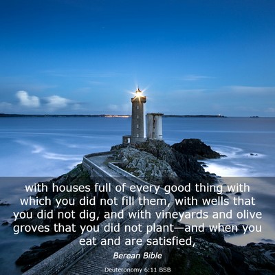 Picture 03 - Deuteronomy 6:11 BSB - with houses full of every good thing with which - Bible Verse Picture