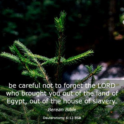 Picture 03 - Deuteronomy 6:12 BSB - be careful not to forget the LORD who brought you - Bible Verse Picture
