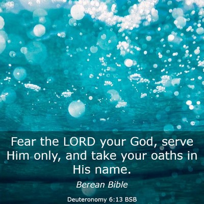 Picture 03 - Deuteronomy 6:13 BSB - Fear the LORD your God, serve Him only, and take - Bible Verse Picture