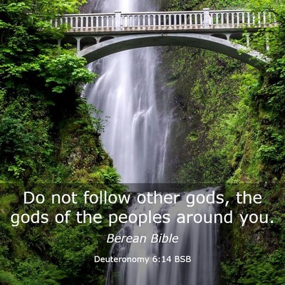 Picture 03 - Deuteronomy 6:14 BSB - Do not follow other gods, the gods of the peoples - Bible Verse Picture