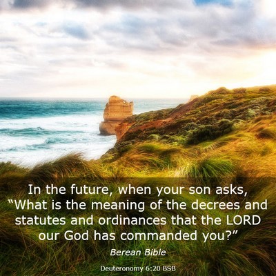 Picture 03 - Deuteronomy 6:20 BSB - In the future, when your son asks, “What is the - Bible Verse Picture