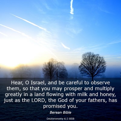 Picture 03 - Deuteronomy 6:3 BSB - Hear, O Israel, and be careful to observe them, - Bible Verse Picture