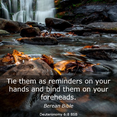 Picture 03 - Deuteronomy 6:8 BSB - Tie them as reminders on your hands and bind them - Bible Verse Picture