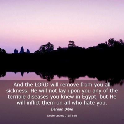 Picture 03 - Deuteronomy 7:15 BSB - And the LORD will remove from you all sickness. - Bible Verse Picture
