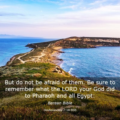 Picture 03 - Deuteronomy 7:18 BSB - But do not be afraid of them. Be sure to remember - Bible Verse Picture