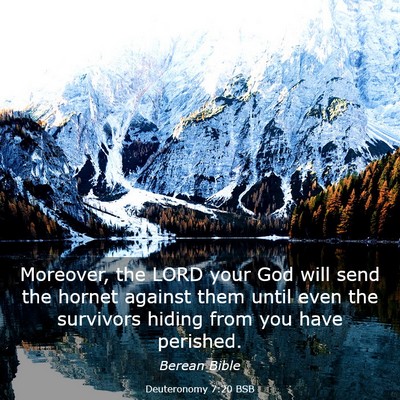 Picture 03 - Deuteronomy 7:20 BSB - Moreover, the LORD your God will send the hornet - Bible Verse Picture