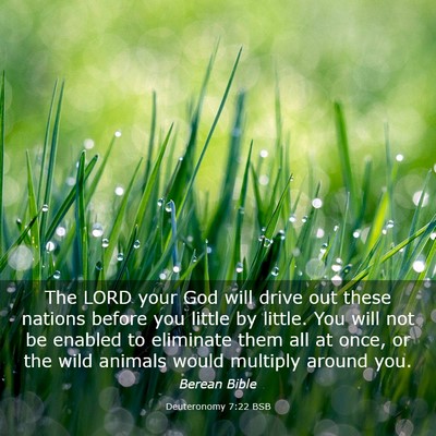Picture 03 - Deuteronomy 7:22 BSB - The LORD your God will drive out these nations - Bible Verse Picture