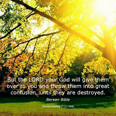 Picture 03 - Deuteronomy 7:23 BSB - But the LORD your God will give them over to you - Bible Verse Picture