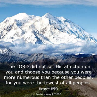 Picture 03 - Deuteronomy 7:7 BSB - The LORD did not set His affection on you and - Bible Verse Picture