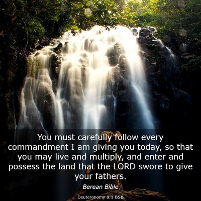 Picture 03 - Deuteronomy 8:1 BSB - You must carefully follow every commandment I am - Bible Verse Picture