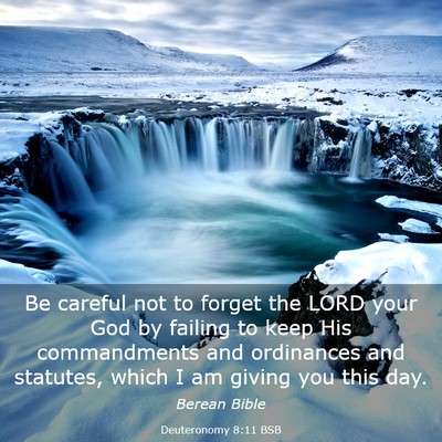 Picture 03 - Deuteronomy 8:11 BSB - Be careful not to forget the LORD your God by - Bible Verse Picture