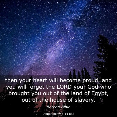 Picture 03 - Deuteronomy 8:14 BSB - then your heart will become proud, and you will - Bible Verse Picture