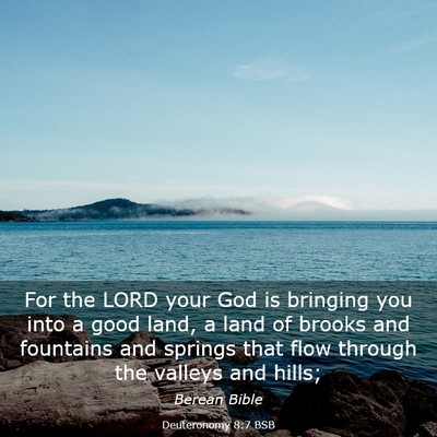Picture 03 - Deuteronomy 8:7 BSB - For the LORD your God is bringing you into a good - Bible Verse Picture