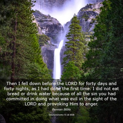 Picture 03 - Deuteronomy 9:18 BSB - Then I fell down before the LORD for forty days - Bible Verse Picture