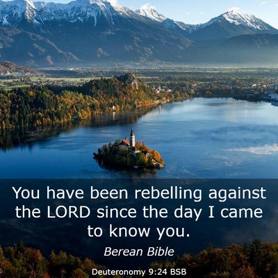 Picture 03 - Deuteronomy 9:24 BSB - You have been rebelling against the LORD since - Bible Verse Picture