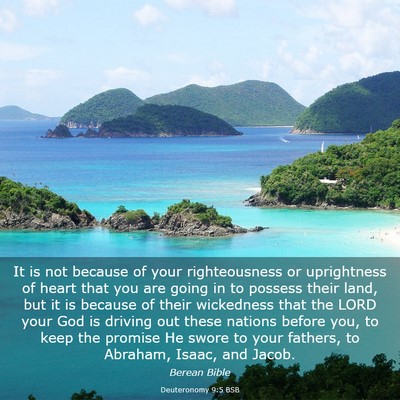 Picture 03 - Deuteronomy 9:5 BSB - It is not because of your righteousness or - Bible Verse Picture