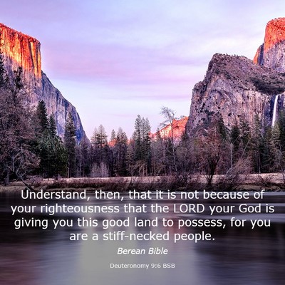 Picture 03 - Deuteronomy 9:6 BSB - Understand, then, that it is not because of your - Bible Verse Picture