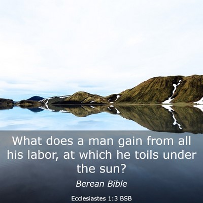 Picture 03 - Ecclesiastes 1:3 BSB - What does a man gain from all his labor, at which - Bible Verse Picture