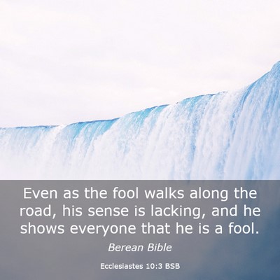 Picture 03 - Ecclesiastes 10:3 BSB - Even as the fool walks along the road, his sense - Bible Verse Picture