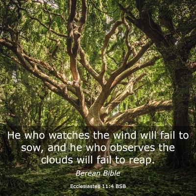 Picture 03 - Ecclesiastes 11:4 BSB - He who watches the wind will fail to sow, and he - Bible Verse Picture
