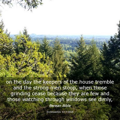 Picture 03 - Ecclesiastes 12:3 BSB - on the day the keepers of the house tremble and - Bible Verse Picture