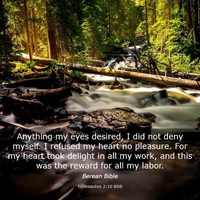 Picture 03 - Ecclesiastes 2:10 BSB - Anything my eyes desired, I did not deny myself. - Bible Verse Picture