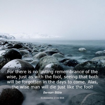 Picture 03 - Ecclesiastes 2:16 BSB - For there is no lasting remembrance of the wise, - Bible Verse Picture