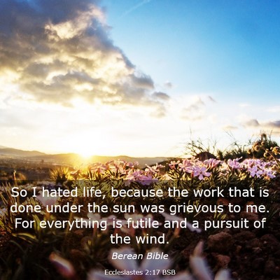 Picture 03 - Ecclesiastes 2:17 BSB - So I hated life, because the work that is done - Bible Verse Picture